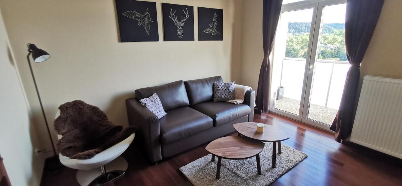 Moser Apartment Carlsbad Karlsbad Buitenkant foto