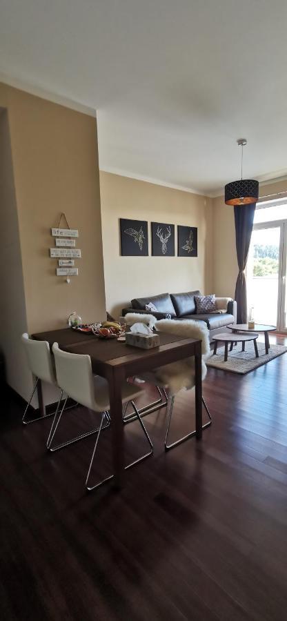 Moser Apartment Carlsbad Karlsbad Buitenkant foto