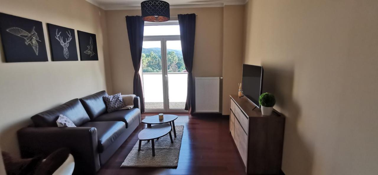 Moser Apartment Carlsbad Karlsbad Buitenkant foto
