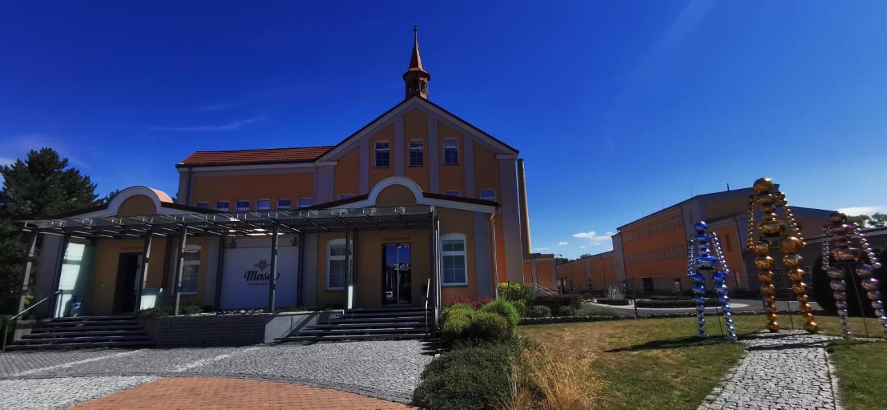 Moser Apartment Carlsbad Karlsbad Buitenkant foto